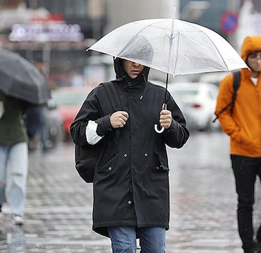 resized_45d2a-9572039dhavadurumunasc4b1l