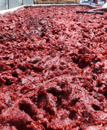 Faydası kanıtlandı: Erken ölüm riskini azaltıyor 5 vgDcxqQmU6-9yzszXrQbw.jpg