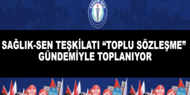 Sağlık-Sen Teşkilatı “Toplu Sözleşme” Gündemiyle Toplanıyor 2 27202518378754.jpg