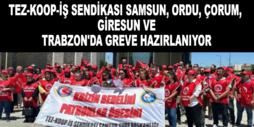 Tez-Koop-İş Sendikası Samsun, Ordu, Çorum, Giresun ve Trabzon'da greve hazırlanıyor 4 872025132146240.jpg