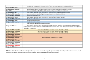 ekran goruntusu 2025 07 29 150737