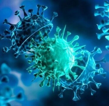 3479097_63f0073eb5f052dcf24e32ed22fef856_640x640