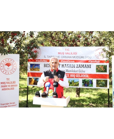 FB_IMG_1760010696532