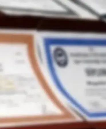 sahte-diploma-skandali-buyuyor-400-akademisyen-atandi-1754059314-383_large