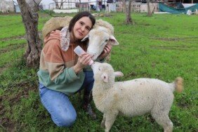 Acil-serviste-hastalara-ciftlikte-hayvanlara-sifa-dagitiyor