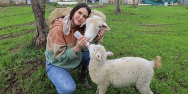 Acil-serviste-hastalara-ciftlikte-hayvanlara-sifa-dagitiyor