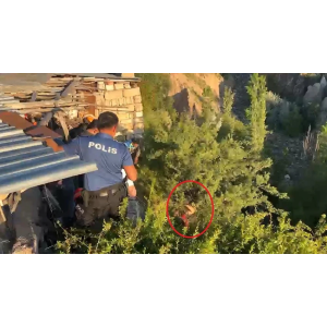 BREATHTAKING RESCUE IN NEVŞEHİRomHE ESCAPED FROM THE HOSPITAL AND HANGED ON A TREEAÇTA ASILI KALDI! 1 tedaviyi reddedip kacti dere yatagi 6rci 1