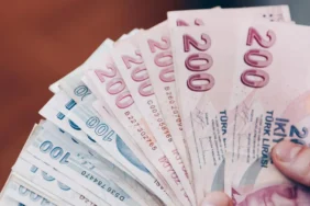para-lira-tl