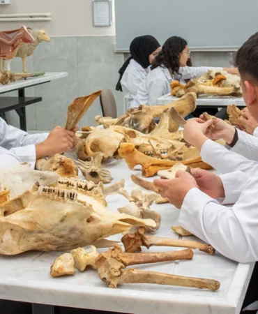 Veteriner Fakültesi, yeni derslik ve laboratuvarlarıyla öğretim kalitesini güçlendirdi (3)_638975158145555830